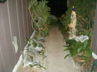 Picture 063.jpg: 2002/10/31 Halloween - 2002